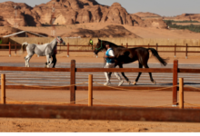 Photo of بمشاركة أكثر من 200 فارس.. العلا تستضيف سباق كأس وزارة الرياضة للقدرة والتحمل