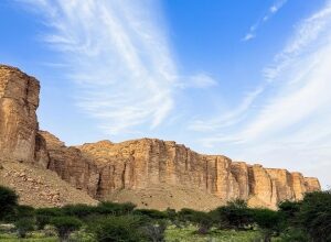 Photo of “محمية الملك سلمان” و”الوعول” تنضمان للقائمة الخضراء