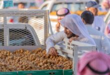 Photo of “غينيس”: مهرجان بريدة أكبر كرنفال تمور في العالم