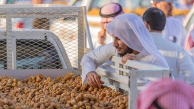 Photo of “غينيس”: مهرجان بريدة أكبر كرنفال تمور في العالم