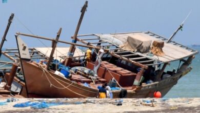 Photo of تصاريح إلكترونية لصيد أسماك “الباغة”