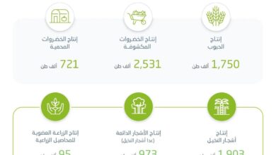 Photo of الهيئة العامة للإحصاء: إنتاج الحبوب وصل لـ 1,750 ألف طن في 2023