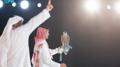 Photo of بيع أغلى صقر في مزاد نادي الصقور السعودي 2024 بـ 400 ألف ريال