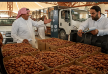 Photo of التمور في الأحساء.. محصول زراعي ارتبط بالإرث الثقافي والاجتماعي