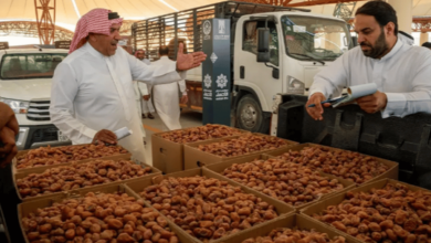 Photo of التمور في الأحساء.. محصول زراعي ارتبط بالإرث الثقافي والاجتماعي