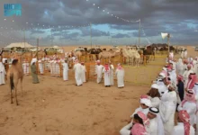 Photo of مُلّاك الإبل والمهتمين: مزاد نجران للإبل يُعزز الموروث الثقافي في المملكة