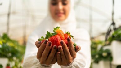 Photo of مؤسسة ريف الأهلية تطلق مبادرة التمكين الاقتصادي للمرآه الريفية في المملكة