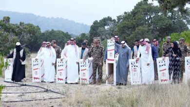 Photo of الحياة الفطرية تطلق 26 كائنًا مهددًا بالانقراض في متنزه السودة