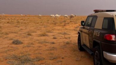 Photo of القوات الخاصة للأمن البيئي تضبط مواطنًا مخالفًا لنظام البيئة لارتكابه مخالفة رعي بمحمية الإمام عبدالعزيز بن محمد الملكية