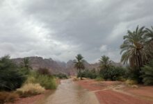 Photo of حائل.. “بنت المطر” في أحضان الطبيعة