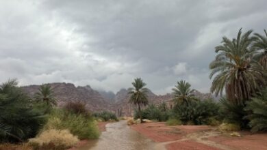 Photo of حائل.. “بنت المطر” في أحضان الطبيعة