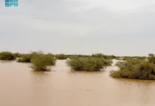 Photo of مراكز جنوب وشرق رفحاء تستقبل بشائر الأمطار الغزيرة مع بداية دخول “الوسم”