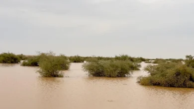 Photo of مراكز جنوب وشرق رفحاء تستقبل بشائر الأمطار الغزيرة مع بداية دخول “الوسم”