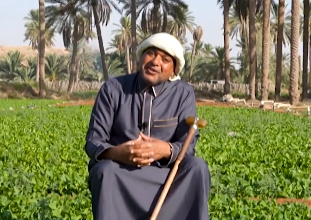 Photo of باحث فلكي: علاقة العرب مع النجوم علاقة وجود وحياة