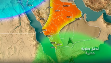 Photo of كتلة هوائية شديدة البرودة وحالة غير مستقرة وأمطار.. تغييرات جذرية بالطقس هذا الأسبوع