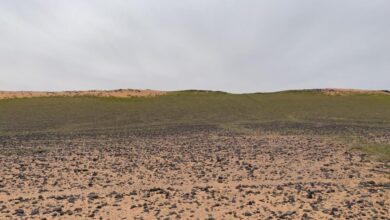 Photo of القبض على مواطن لارتكابه مخالفة الصيد بمحمية الملك عبدالعزيز