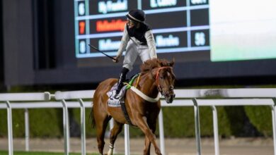 Photo of نادي سباقات الخيل ينظّم الأسبوع السابع من موسم سباقات الرياض