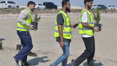 Photo of تدشين مبادرة زراعة 100 ألف شجرة مانجروف بالقطيف