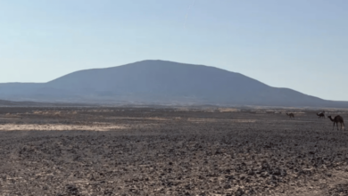 Photo of جبل "أقرن".. معلم بارز لقصر دوقرة الأثري بمحافظة طريف