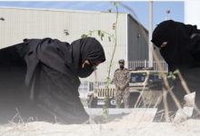 Photo of الأمن البيئي يطلق مبادرة تشجير بالتعاون مع جامعة الإمام عبدالرحمن بالمنطقة الشرقية