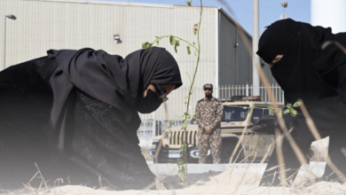 Photo of الأمن البيئي يطلق مبادرة تشجير بالتعاون مع جامعة الإمام عبدالرحمن بالمنطقة الشرقية