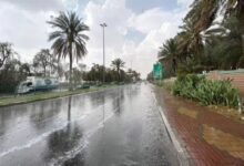 Photo of درجات الحرارة تنخفض لـ11.. توقعات حالة الطقس اليوم الأربعاء 25-5-1446 في المملكة