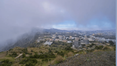 Photo of سحر الطبيعة تحت غطاء الضباب.. مشهد يأسر الأنظار بمنطقة الباحة