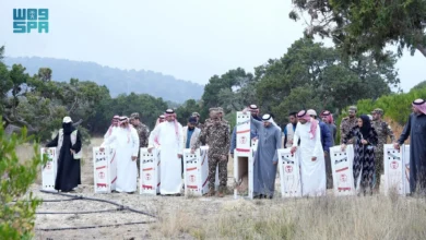 Photo of “الحياة الفطرية” تطلق 26 كائنًا مهددًا بالانقراض في متنزه السودة