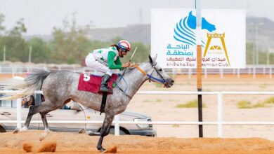 Photo of ميدان الفروسية بالباحة ينظم مسابقات الخيل على كأس التعليم وجامعة الباحة