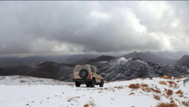 Photo of الحصيني: بدء النجم الثاني من المربعانية غدًا الجمعة