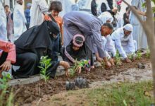 Photo of زراعة أكثر من 153 ألف شجرة تعزّز جمالية المشهد الحضري للمدينة المنورة