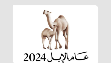 Photo of وزارة الثقافة تُطلق المهرجان الختامي لعام الإبل 2024 في ليسن فالي بالرياض