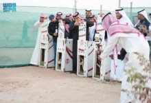 Photo of جامعة الملك فيصل تُدشن مبادرة لإطلاق عددٍ من الكائنات الفطرية المُهددة بالانقراض