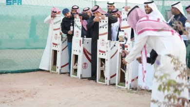 Photo of جامعة الملك فيصل تُدشن مبادرة لإطلاق عددٍ من الكائنات الفطرية المُهددة بالانقراض