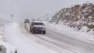 Photo of باحث في شؤون الطقس: موجة باردة جديدة تؤثر على المملكة الأسبوع المقبل