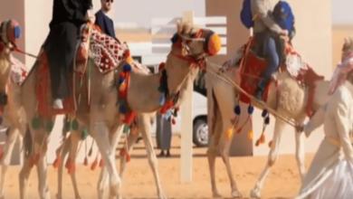 Photo of تجربة «الزي السعودي» تجذب السياح بمهرجان الملك عبدالعزيز للإبل