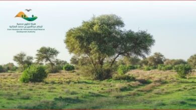 Photo of «تطوير محمية الإمام عبدالعزيز الملكية» تشدد على منع التخييم في المحميات الواقعة تحت إشرافها