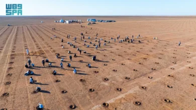 Photo of 120 متطوعًا يزرعون 2000 شتلة في محمية الملك عبدالعزيز الملكية ضمن مبادرة “لتنمو”