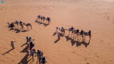 Photo of “سلومنا”.. جسر الموروث للأجيال الصاعدة