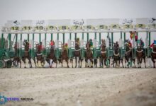 Photo of 31 جواداً تتأهب للتأهل للمشاركة في أشواط أبطال الميادين بميدان الملك عبدالعزيز بالرياض