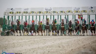 Photo of 31 جواداً تتأهب للتأهل للمشاركة في أشواط أبطال الميادين بميدان الملك عبدالعزيز بالرياض