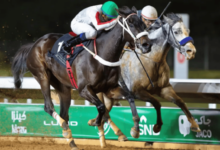 Photo of نادي سباقات الخيل يختتم مهرجان كؤوس الملوك والأمراء بنسخته العاشرة