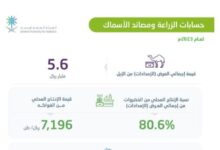 Photo of «الإحصاء»: الإنتاج المحلي من الخضروات يوفر 80.6% من إجمالي احتياجات المملكة