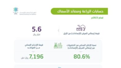 Photo of «الإحصاء»: الإنتاج المحلي من الخضروات يوفر 80.6% من إجمالي احتياجات المملكة