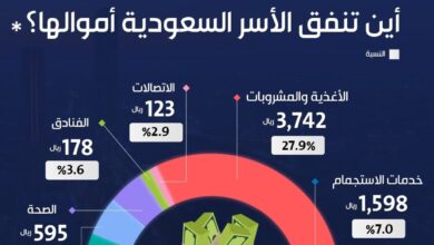 Photo of ماهي القطاعات الأكثر اجتذابا للاستهلاك للأسر في المملكة؟.. «الإحصاء» تجيب