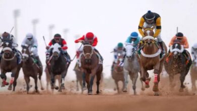 Photo of ميدان الفروسية بالمدينة المنورة ينظم اليوم الحفل السادس لسباقات الخيل