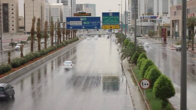 Photo of خبير مناخي: حالة مطرية تغطي مناطق المملكة من مساء الغد حتى الأربعاء