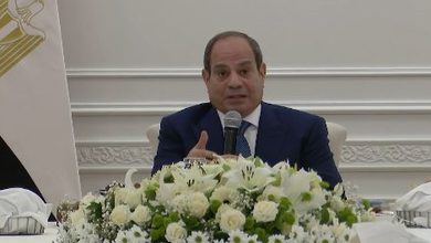 الرئيس المصري عبد الفتاح السيسي يتحدث عن السعودية وأمنها